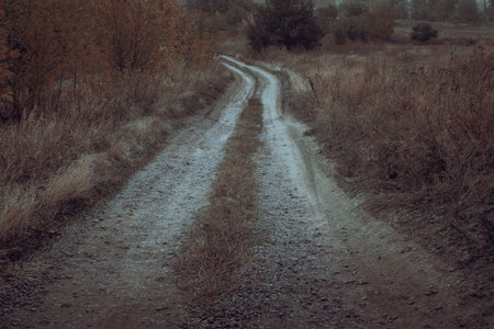 The weather before the rain is nature and inclement weather.の写真素材