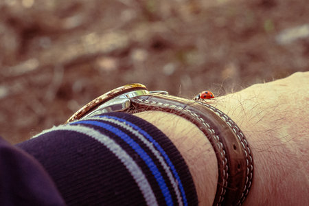 A ladybug sits gently on a person's hand under a clear blue sky.の写真素材