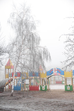 The soft fog and muted winter light create a serene and magical atmosphere.の写真素材