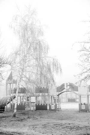 The soft fog and muted winter light create a serene and magical atmosphere.の写真素材