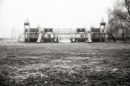 The soft fog and muted winter light create a serene and magical atmosphere.の写真素材