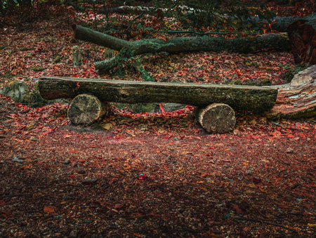 Peaceful autumn scene with a rustic wooden bench surrounded by fallen red leaves in a quiet forest. The mood reflects calm, solitude, and natural beauty.の写真素材
