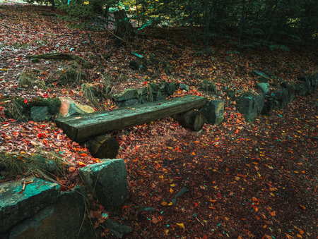 Peaceful autumn scene with a rustic wooden bench surrounded by fallen red leaves in a quiet forest. The mood reflects calm, solitude, and natural beauty.の写真素材