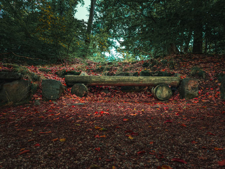 Peaceful autumn scene with a rustic wooden bench surrounded by fallen red leaves in a quiet forest. The mood reflects calm, solitude, and natural beauty.の写真素材