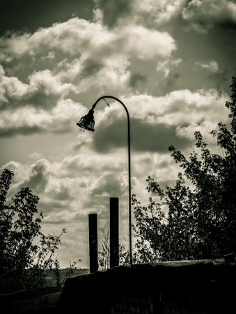 Gritty black and white image of an old, curved street lamp against a dramatic, cloudy sky. Silhouettes of trees and posts frame the moody, atmospheric scene.の写真素材