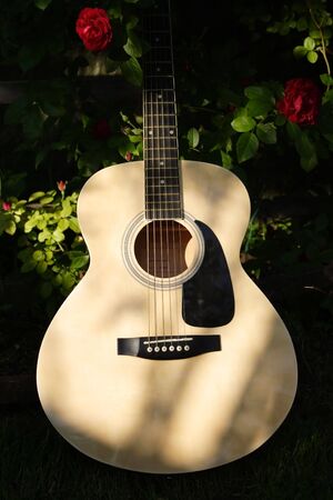 Wooden guitarの写真素材