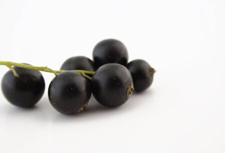 Berries of a black currantの写真素材
