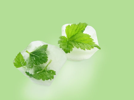 Cube of ice with a leafの写真素材
