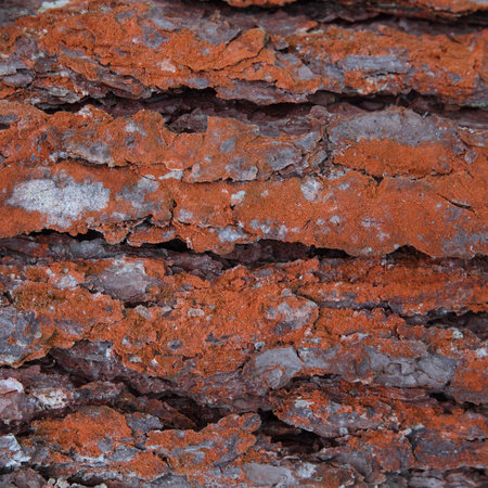 cracked wood board