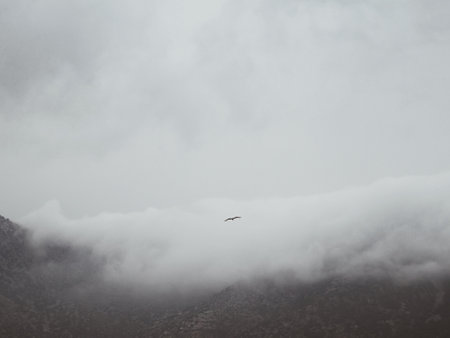 Cloudy sky and mountains.の写真素材
