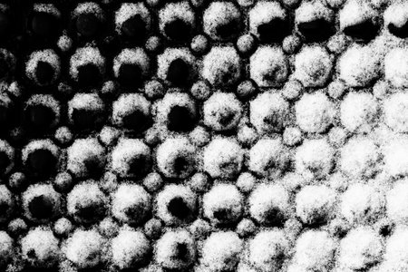 Snowy abstract black and white background.