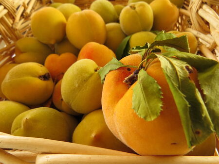 Ripe Peaches in a cane basketの写真素材