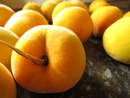 Ripe Peachesの写真素材