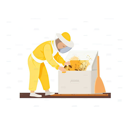 Beekeeper working in apiary. Vector flat illustration on white background. Vector illustration in flat style, website clipart artの素材