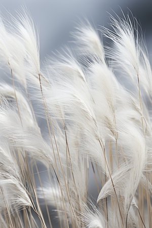 field wind grass moody wild peaceful landscape freedom scene beautiful nature wallpaper photo wall art posterの素材