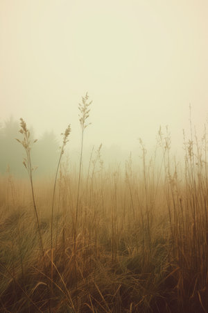 field wind grass moody wild peaceful landscape freedom scene beautiful nature wallpaper photo wall art posterの素材