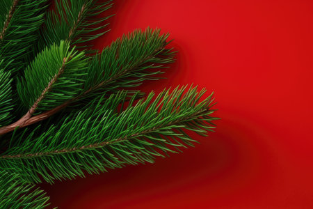 spruce branches pine cones concept Christmas tree decoration Promotion poster sale discount clipart red backgroundの素材