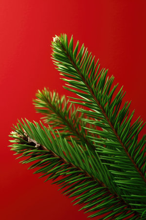 spruce branches pine cones concept Christmas tree decoration Promotion poster sale discount clipart red backgroundの素材