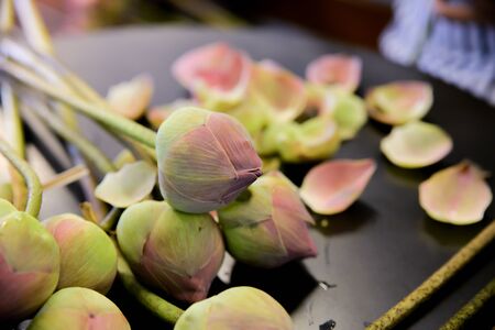 pink lotus on wooden tableの写真素材