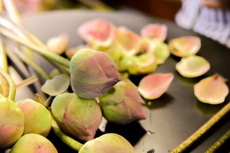 pink lotus on wooden tableの写真素材