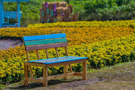 wooden bence with flower backgroundの写真素材