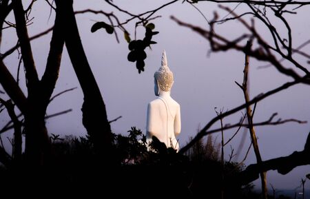 Back side of Buddha statue in Surin province,Thailandの写真素材