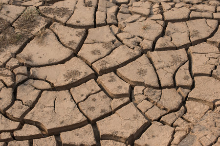 Cracked soil groundの写真素材