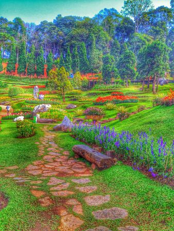 Walk into Garden  beautiful landscape  の素材