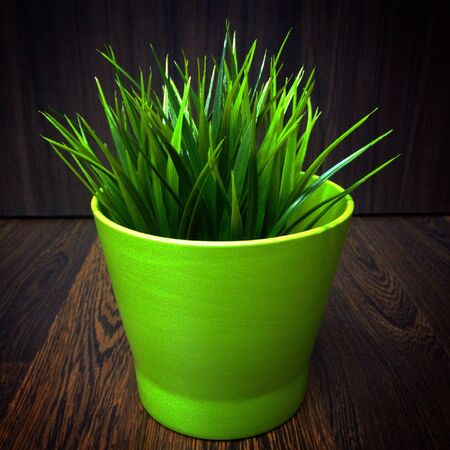Grass in green flowerpotの素材