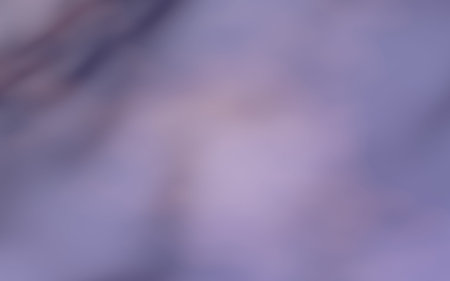 Purple blue abstract background. Colorful blurred backdrop. 3D illustration