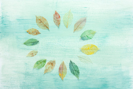 made up by hand painted skeleton leaves on a teal background texture