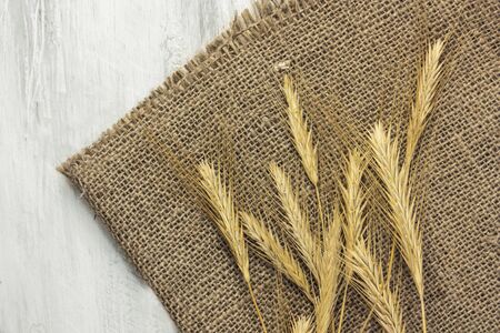 A photo of oat crops, shot from above on a rustic wooden background texture with copyspaceの写真素材