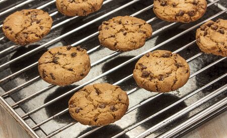 Rows of freshly baked chocolate chips cookies on an old black baking tray, selective focusの写真素材