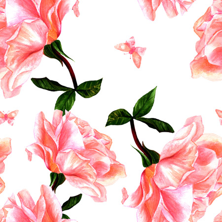 A seamless pattern with a watercolor drawing of a blooming pink rose and a butterfly, hand painted on white background in the style of vintage botanical artの写真素材