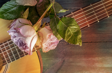 Guitar neck with tender pink roses on dark backgroundの写真素材