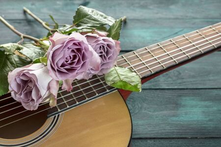 Guitar neck with tender pink roses on dark backgroundの写真素材