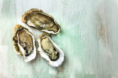 Freshly shucked oysters with copyspaceの写真素材