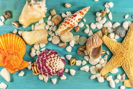 Starfish, shells, and pebbles on vibrant turquoiseの写真素材