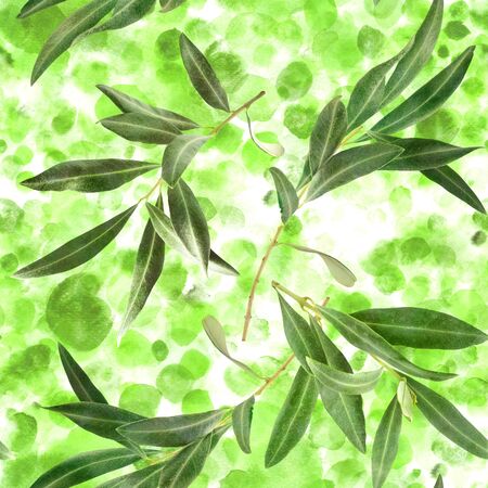 Seamless pattern with olive tree branches on greenの写真素材