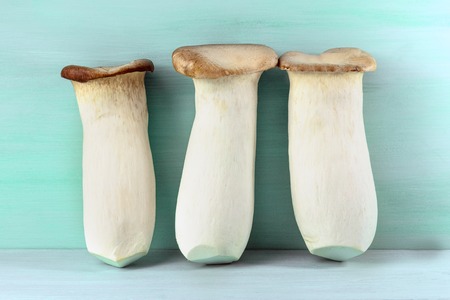 King trumpets, edible mushrooms, on teal backgroundの写真素材