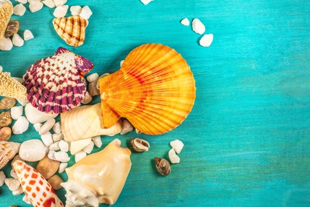 Shells and pebbles on vibrant turquoise with copyspaceの写真素材