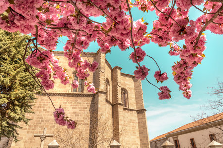 Mosen Rubi chapel in Avila, Spain, with blooming flowersの写真素材