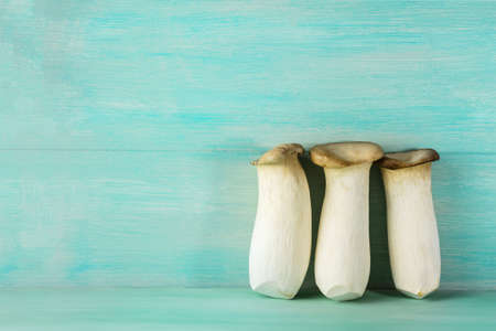 King trumpets, edible mushrooms, on teal backgroundの写真素材