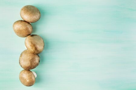 Portobello mushrooms with place for text on tealの写真素材
