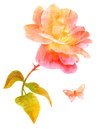 Watercolor pink rose and butterfly, isolated, golden tonedの写真素材