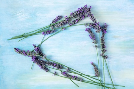 Overhead photo of lavender branches with copy spaceの写真素材
