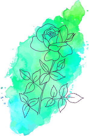A Vector, ink, and watercolor rose flower on teal stain.のイラスト素材
