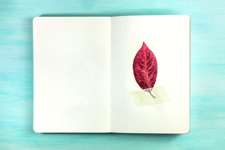Red leaf taped to notebook on teal texture with copyspace