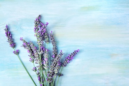 Overhead photo of lavender branches with copy spaceの写真素材