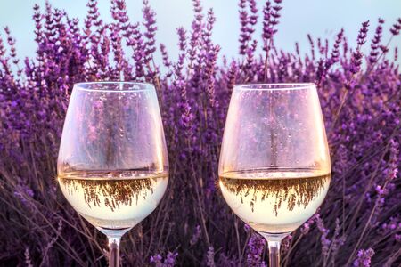 Two glasses of white wine in lavender fieldの写真素材